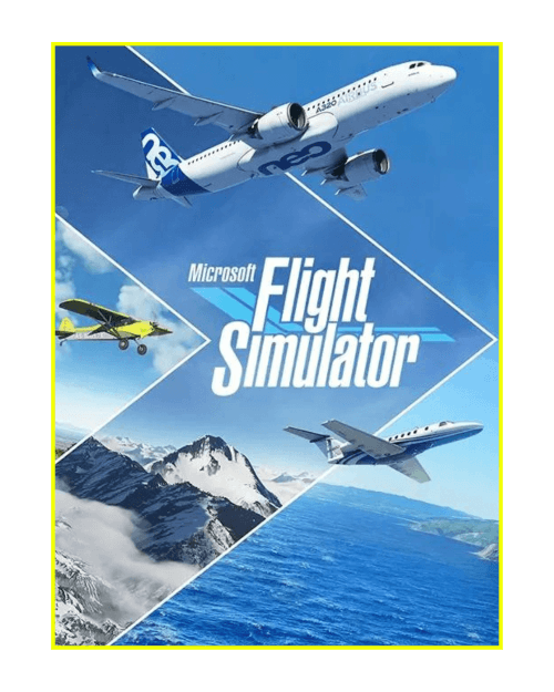 Microsoft Flight Simulator